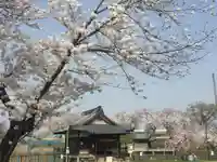 蛇池神社の自然