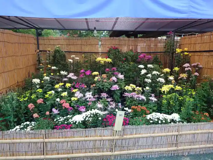 宗像大社(福岡県)