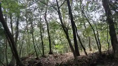 出雲大神宮(京都府)