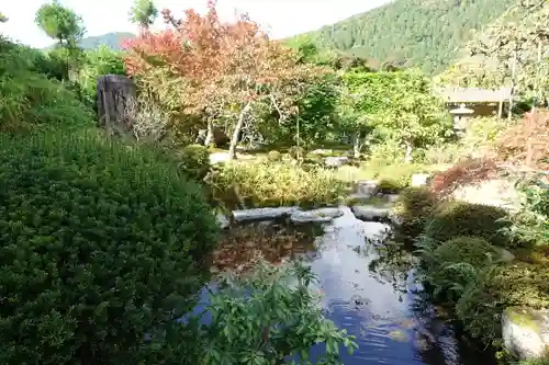 実光院の庭園