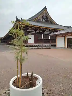 蓮華王院（三十三間堂）(京都府)