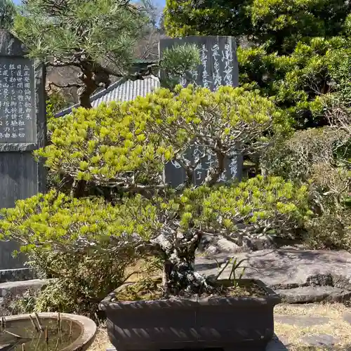 光則寺(神奈川県)