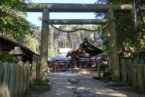 高山八幡宮の鳥居