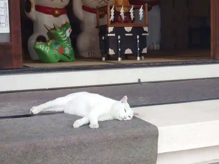 今戸神社(東京都)