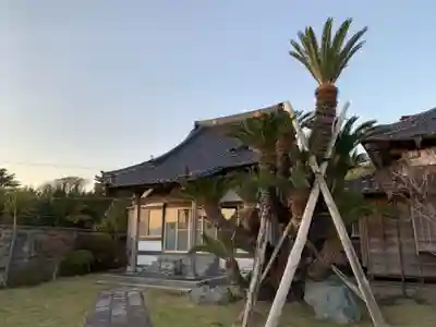 顕本寺の本殿・本堂