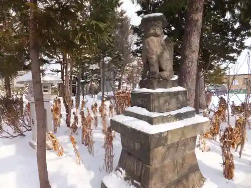 西野神社の狛犬