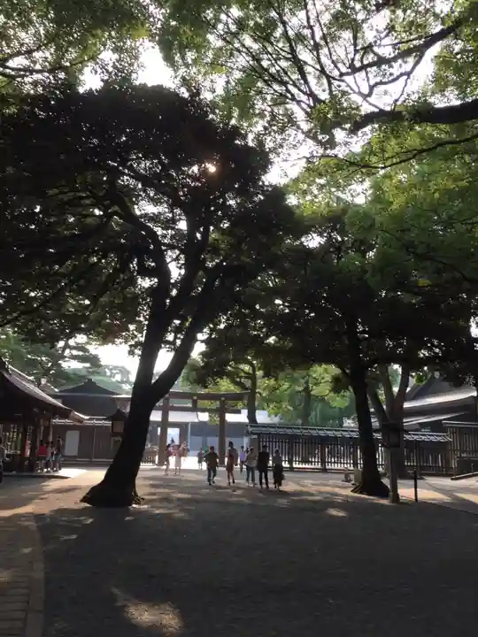 明治神宮の自然