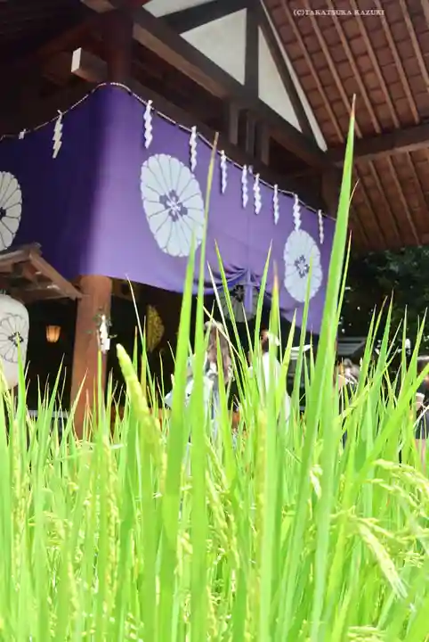 東京大神宮(東京都)