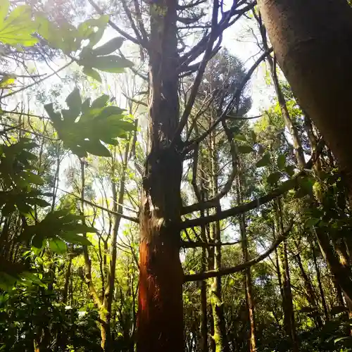 鹿島神宮の自然