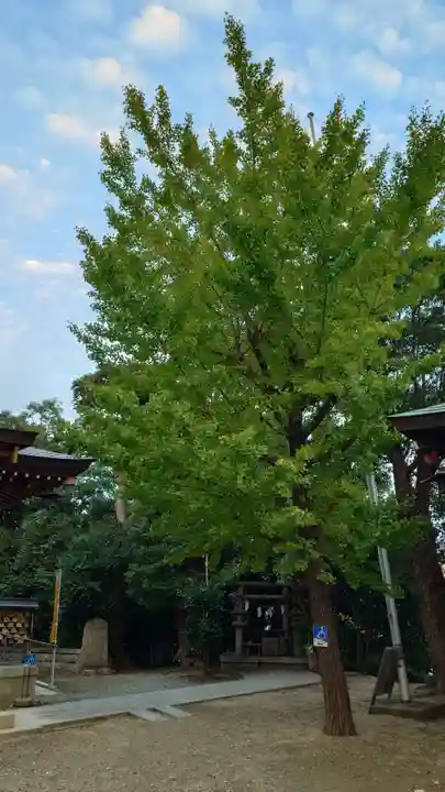 夜疑神社(大阪府)