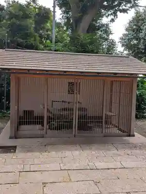 星川杉山神社(神奈川県)