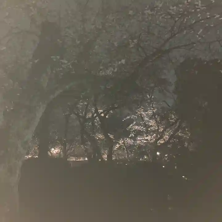 富士山本宮浅間大社(静岡県)