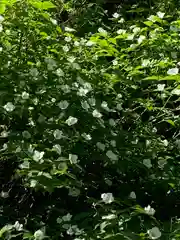 雲巌寺(栃木県)