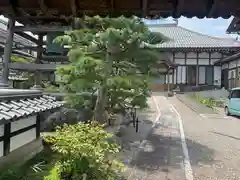 玉泉寺の建物その他