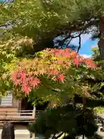 蚊里田八幡宮(長野県)