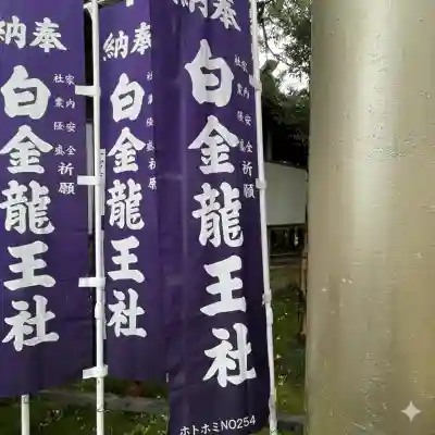白金龍王社(愛知県)