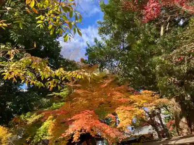 豪徳寺(東京都)