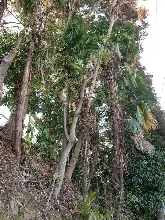 八坂神社の自然