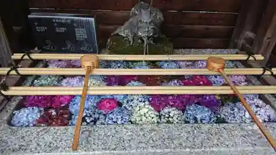 鎮守氷川神社の手水舎