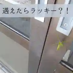 屋久島大社の動物