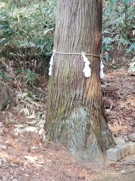 水使神社(栃木県)