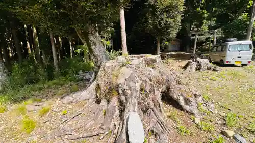 椎村神社(福井県)
