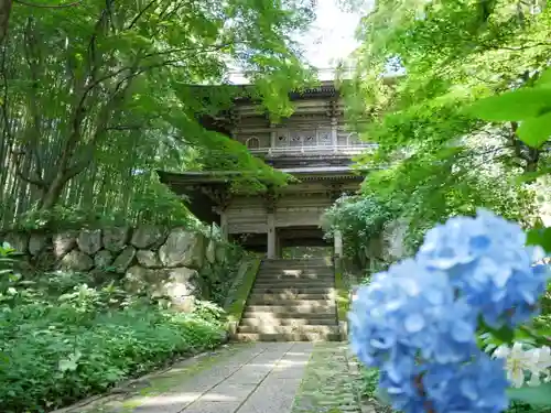 泰寧寺の山門