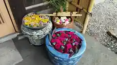 多賀神社の手水