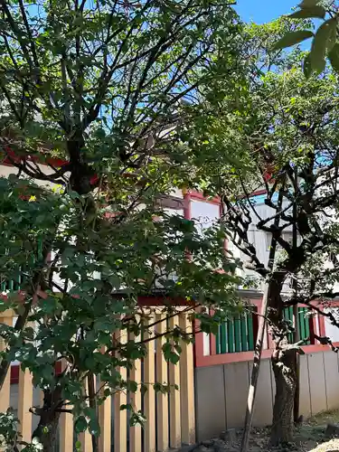 北野神社(東京都)