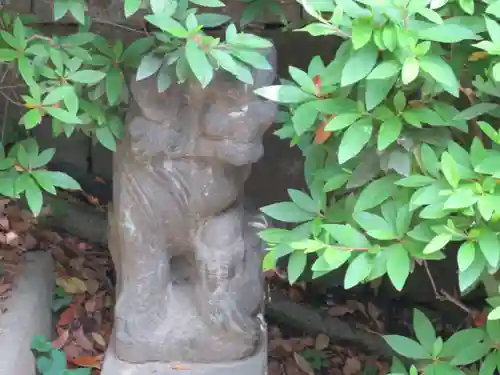 横浜一之宮神社の狛犬