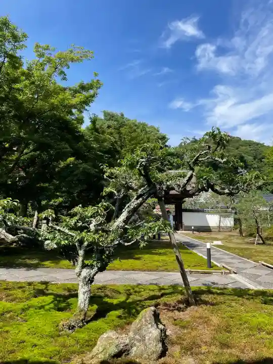 長壽寺(長寿寺)(神奈川県)
