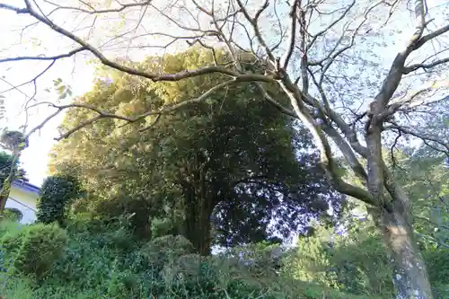 鹿島大神宮の庭園