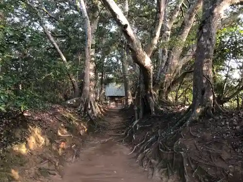 塩釜神社の自然