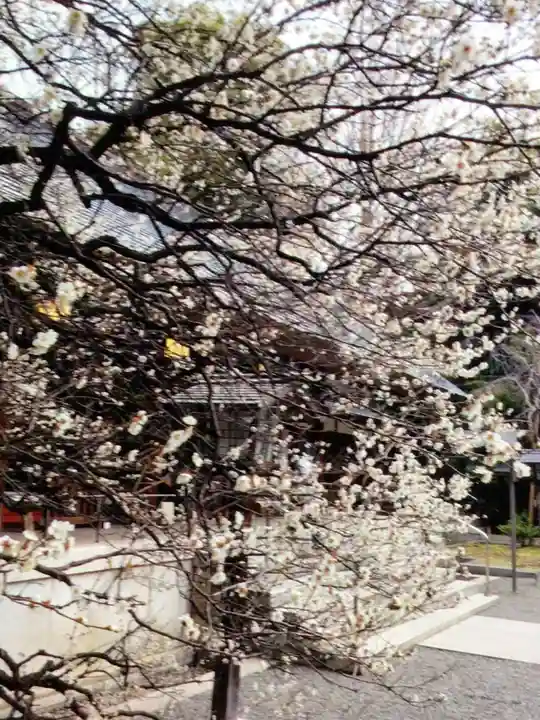 乃木神社(東京都)