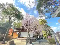 豊景神社の自然