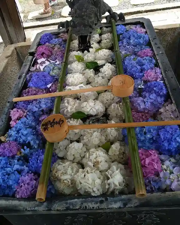 柳谷観音 楊谷寺の手水舎