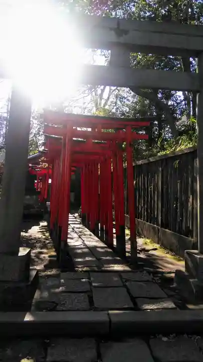 根津神社の鳥居