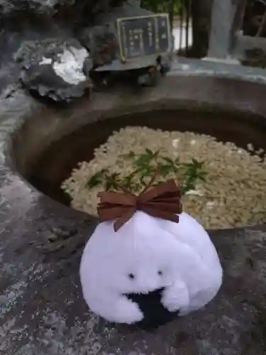 高木神社の手水