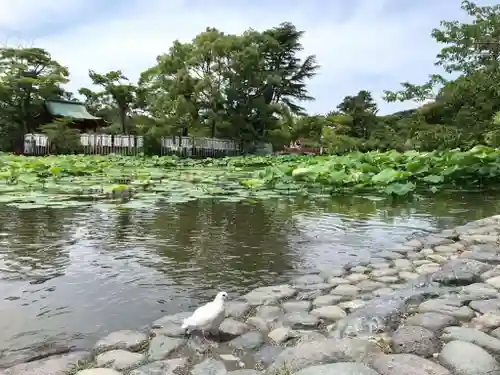 旗上弁財天社の動物