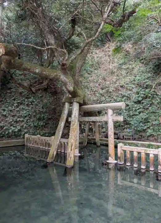 奥宮(鹿島神宮摂社)(茨城県)