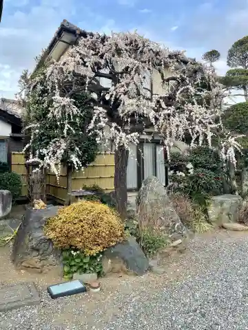 浄念寺(埼玉県)