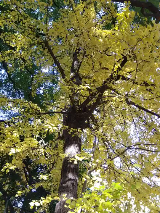 神明社(伊勢山神明社)(愛知県)