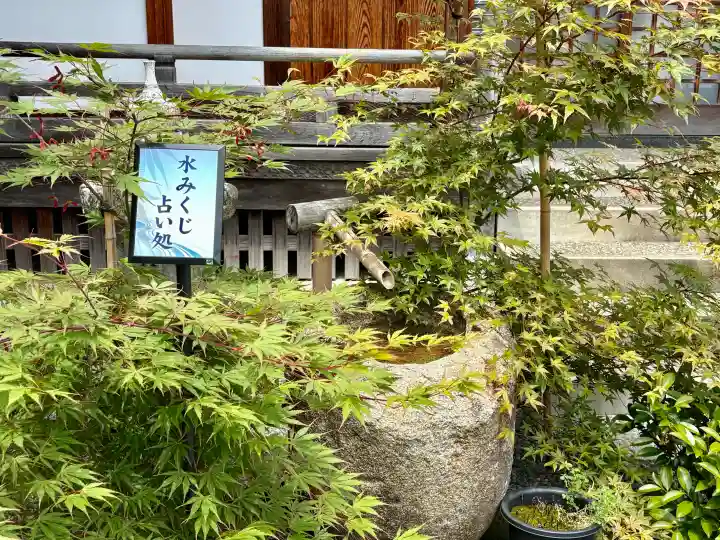 總社 和田八幡宮の{uncategorized: "未分類", other: "その他", undefined: "問題あり", building: "その他建物", grave: "お墓", sacred_gate: "鳥居", guardian: "狛犬", statue: "像", buddha: "仏像", history: "歴史", nature: "自然", garden: "庭園", animal: "動物", pagoda: "塔", temizu: "手水舎", mountain_gate: "山門・神門", sanctuary: "本殿・本堂", subordinate: "末社・摂社", art: "芸術", scenery: "景色", jizo: "地蔵", ema: "絵馬", goshuin: "御朱印", omikuji: "おみくじ", items: "授与品その他", amulet: "お守り", goshuincho: "御朱印帳", eats: "食事", festival: "お祭り", votive_dance: "神楽", shichigosan: "七五三参", wedding: "結婚式", experience: "体験その他", initially: "初詣", around: "周辺", anti_infection: "感染症対策"}