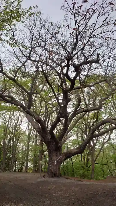 相馬神社(北海道)