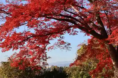 八幡神社の景色