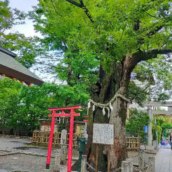 新田神社の自然