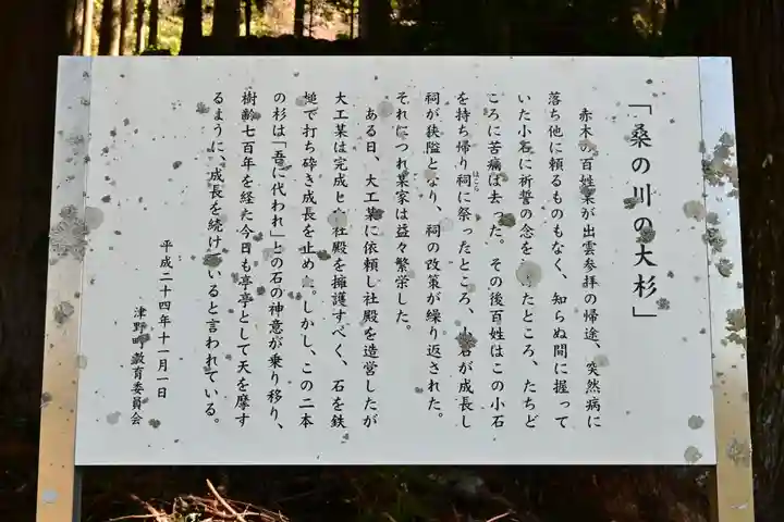 三所神社(桑の川の大杉)(高知県)