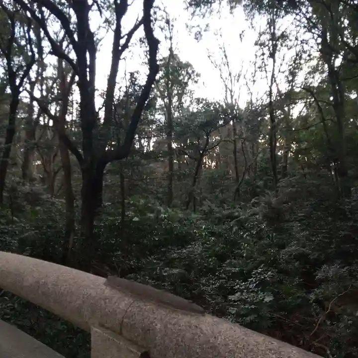 明治神宮(東京都)