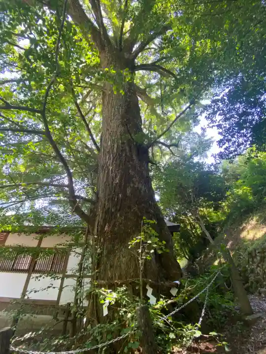 来迎院(奈良県)