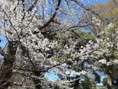阿佐ヶ谷神明宮(東京都)